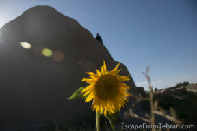 Village of Zafaraniyeh