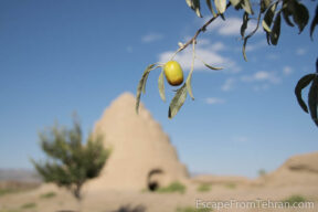 Village of Zafaraniyeh
