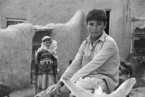 Iranian village near sabzevar northeast iran copyright ali torkzadeh escapefromtehran com 8054