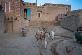 Iranian village near sabzevar northeast iran copyright ali torkzadeh escapefromtehran com 8083