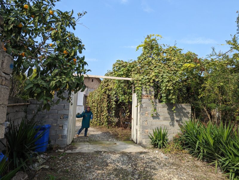 travel tourism village home in Seyyed Mahalleh near Sari Mazandaran province iran